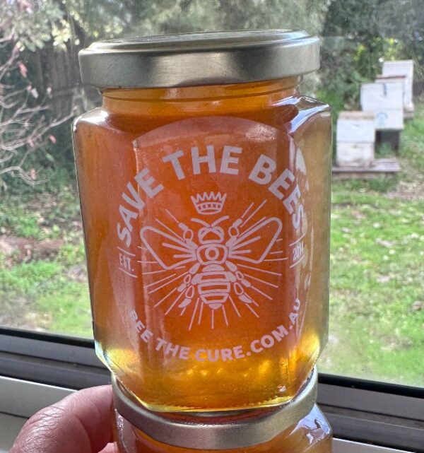 Sample antibiotic free iron bark honey